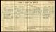 1911 England Census - Marian Ivy Edith Pattle-1.jpeg