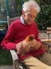 John Gibbs caring for a hen